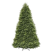 National Tree Company 