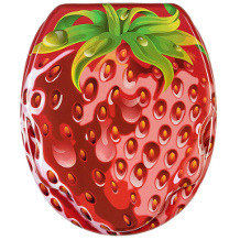 Sanilo sedile WC chiusura ammort