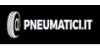 pneumatici.it