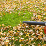 aspirafoglie a benzina