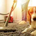 aspirapolvere per peli di animali