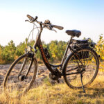 bicicletta da trekking