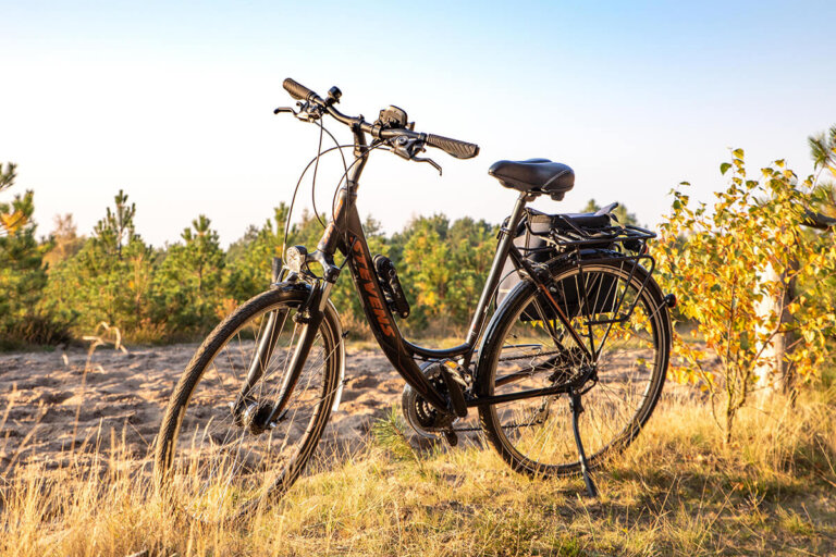 bicicletta da trekking