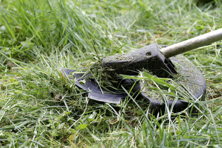 decespugliatore a batteria