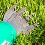 tagliabordi per prato